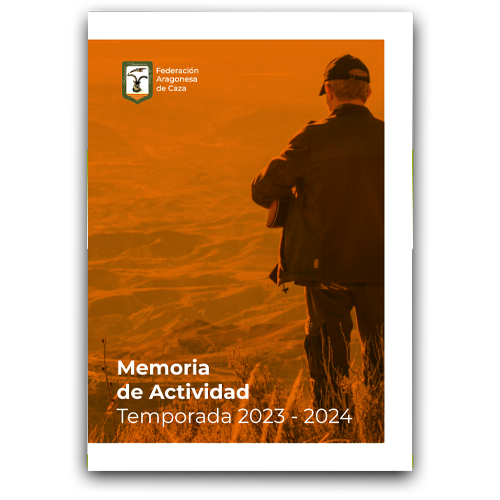 memoria-actividad