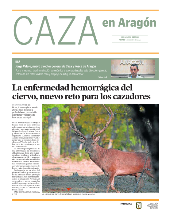 Caza_Aragon_Octubre_2023