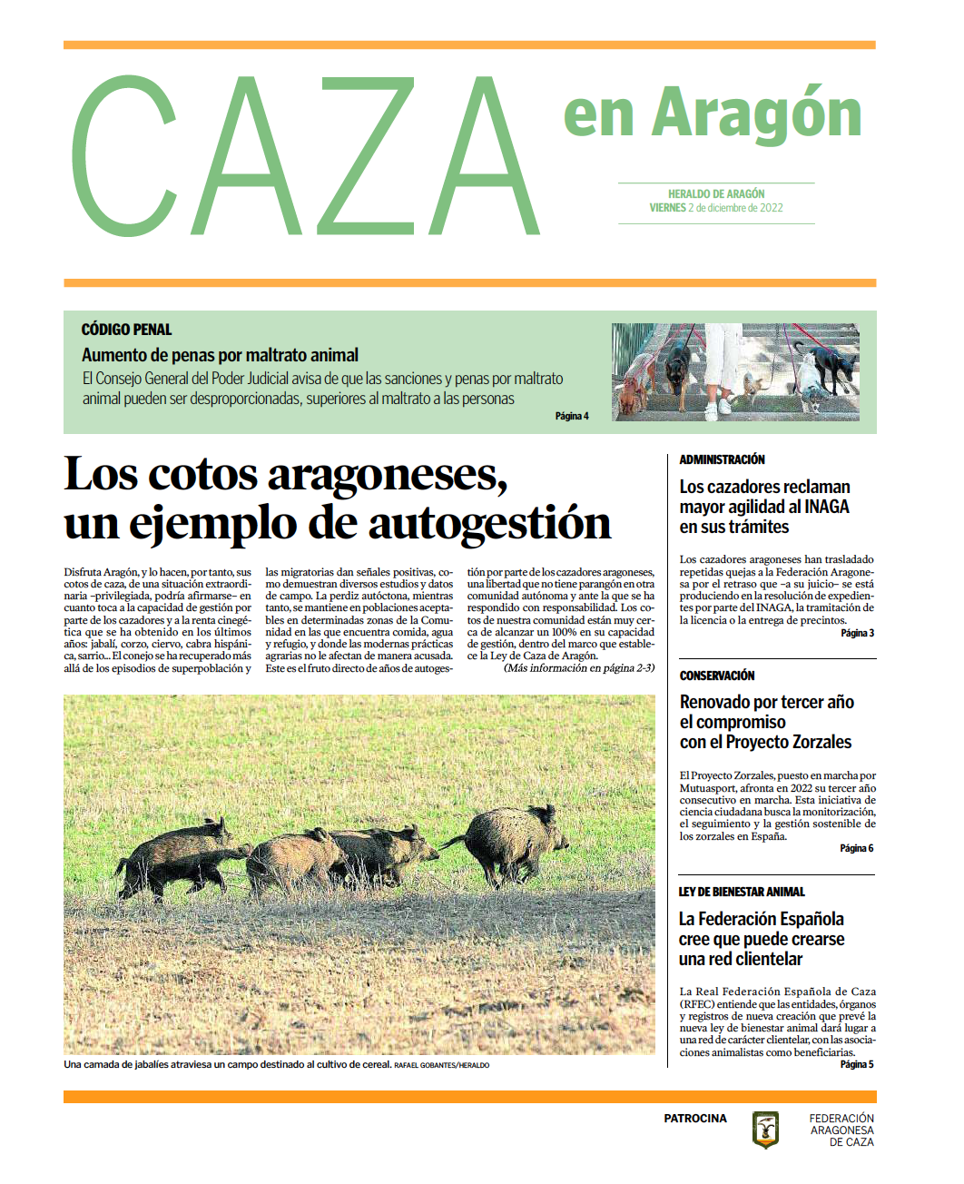 caza_en_aragon_diciembre_2022