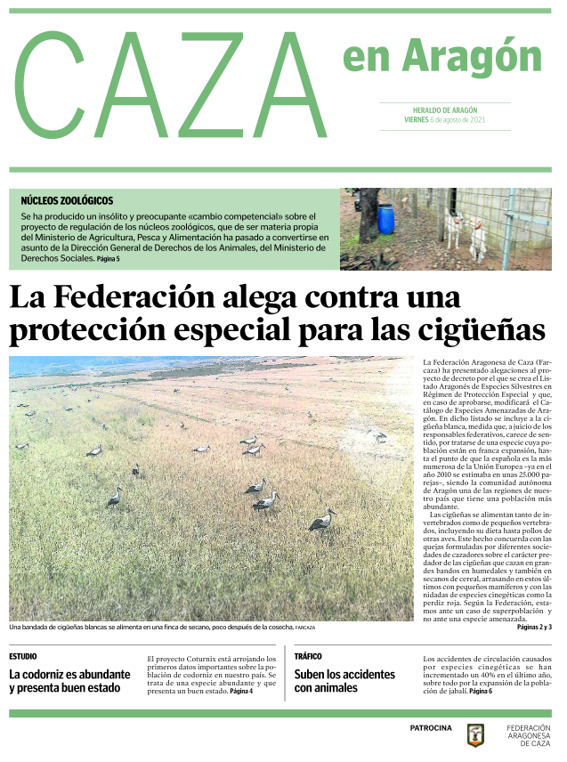revista_agosto_2021